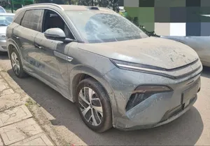 Photo - New BYD Tang DM-i 2025 Gray