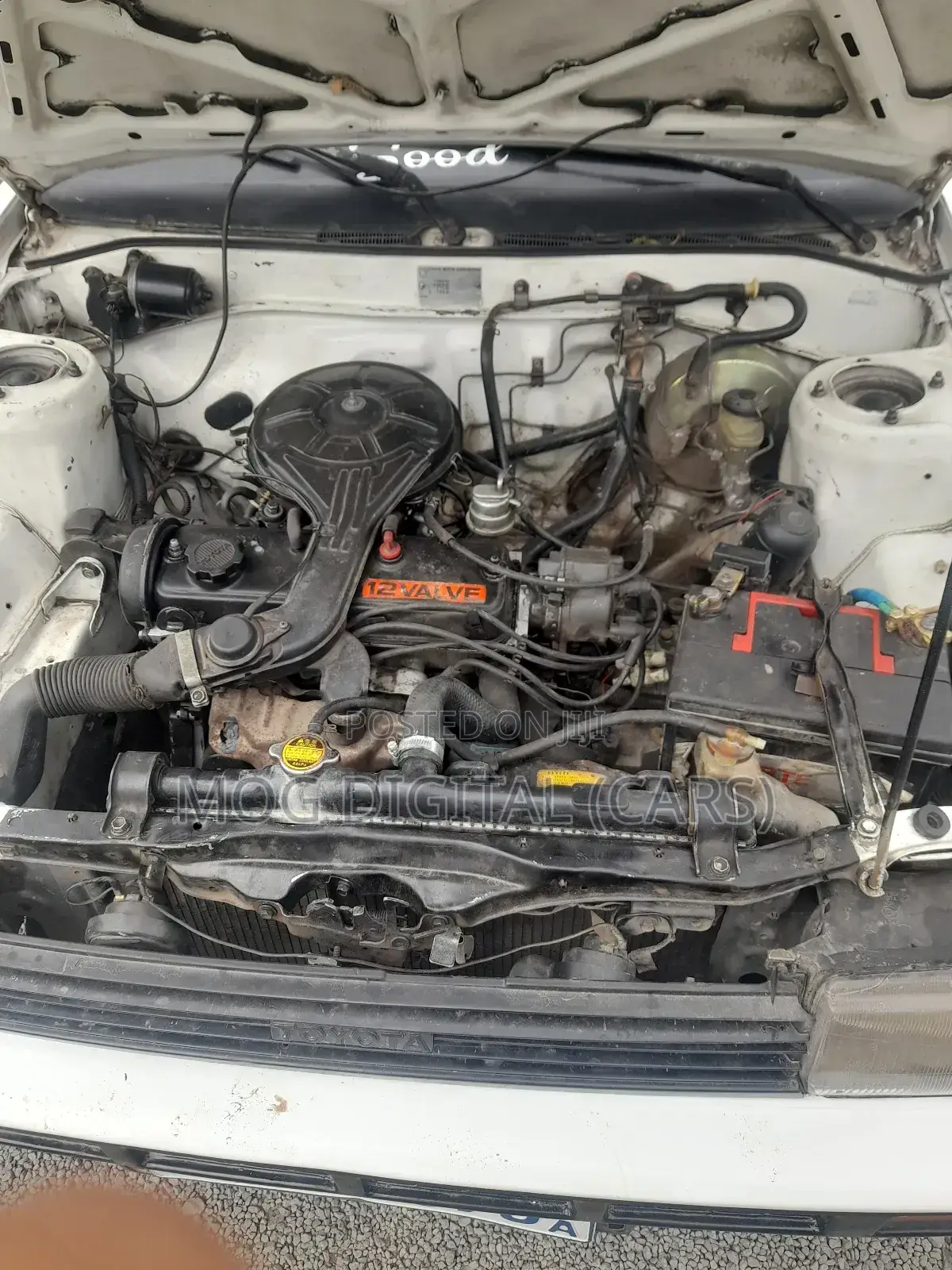 Toyota Corolla Hatchback 1985 White