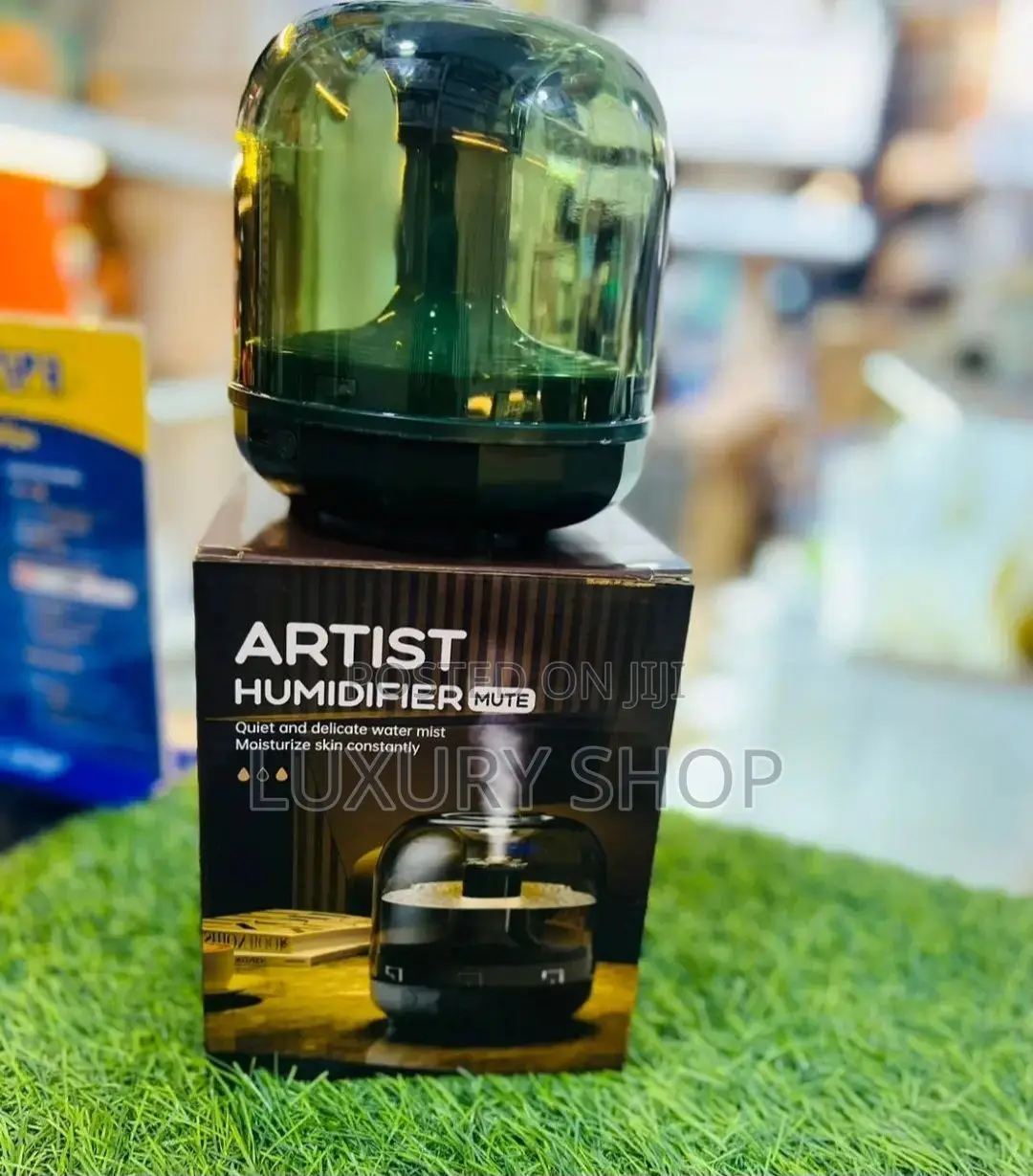 ዘመናዊ የእጣን ማጨሻ "Artist Humidifier"