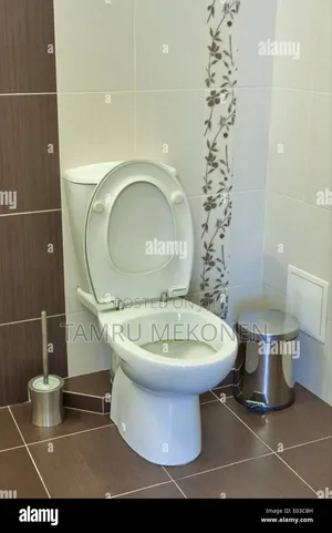 2bdrm Apartment in Bole for sale