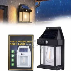 Solar Induction Wall Lamp