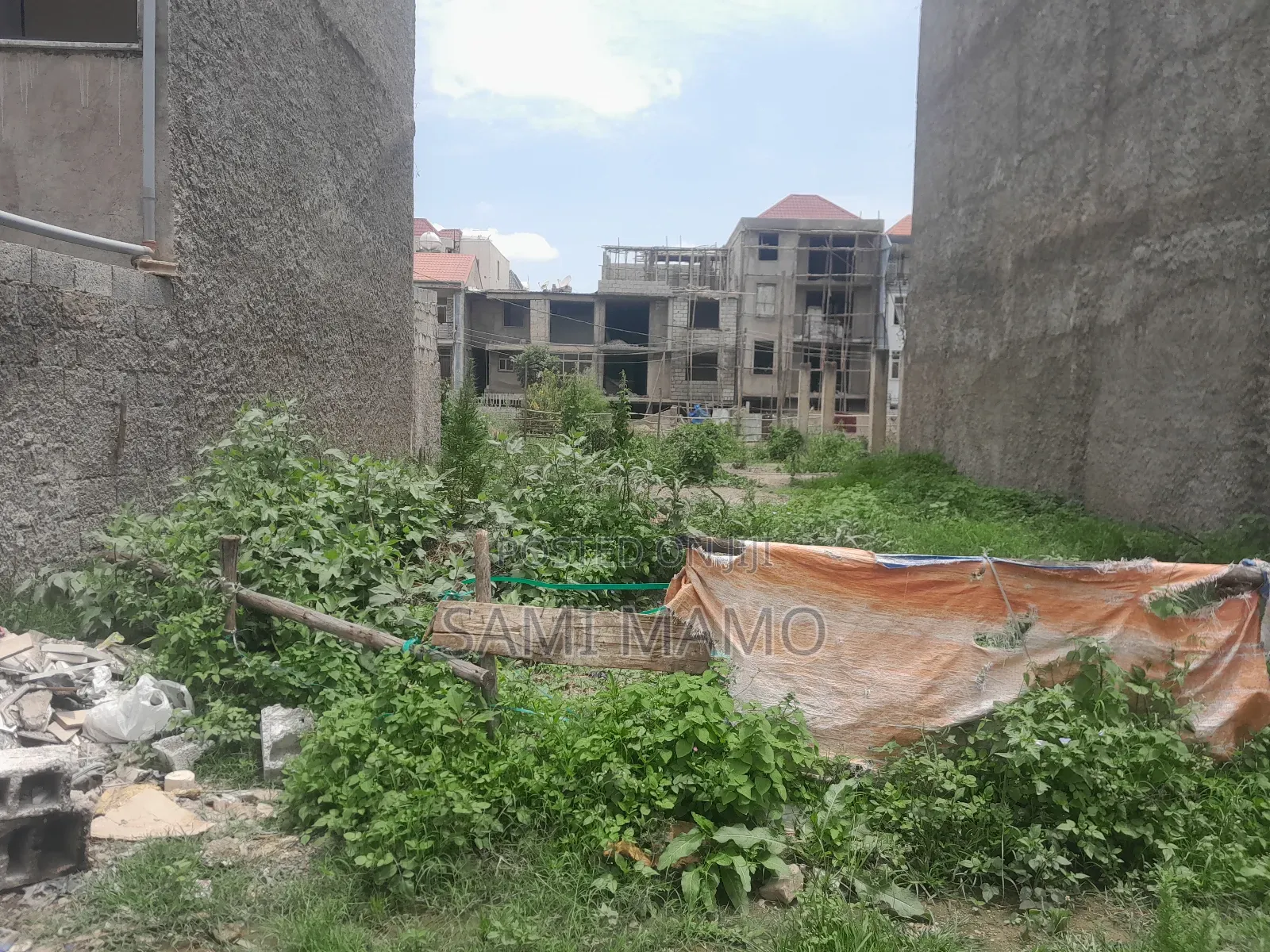 Tulu Dimtu(Alem Bank)