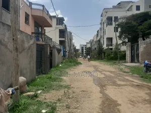 Tulu Dimtu(Alem Bank)