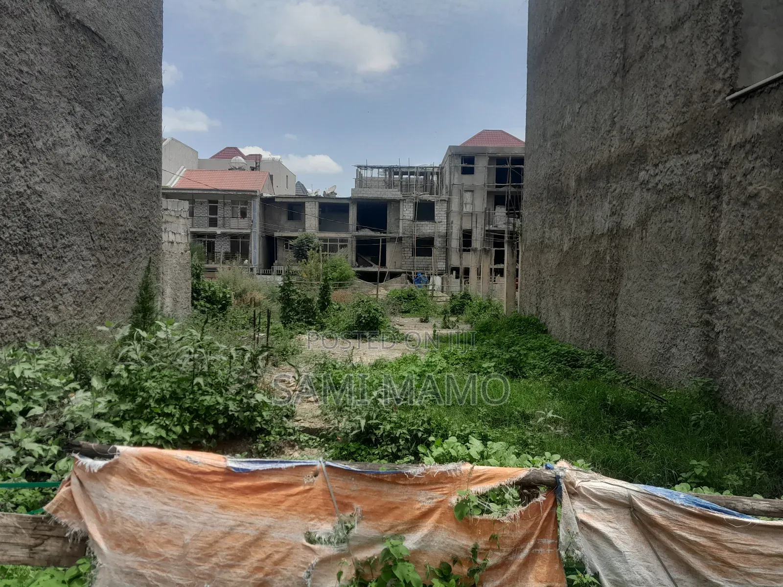 Tulu Dimtu(Alem Bank)