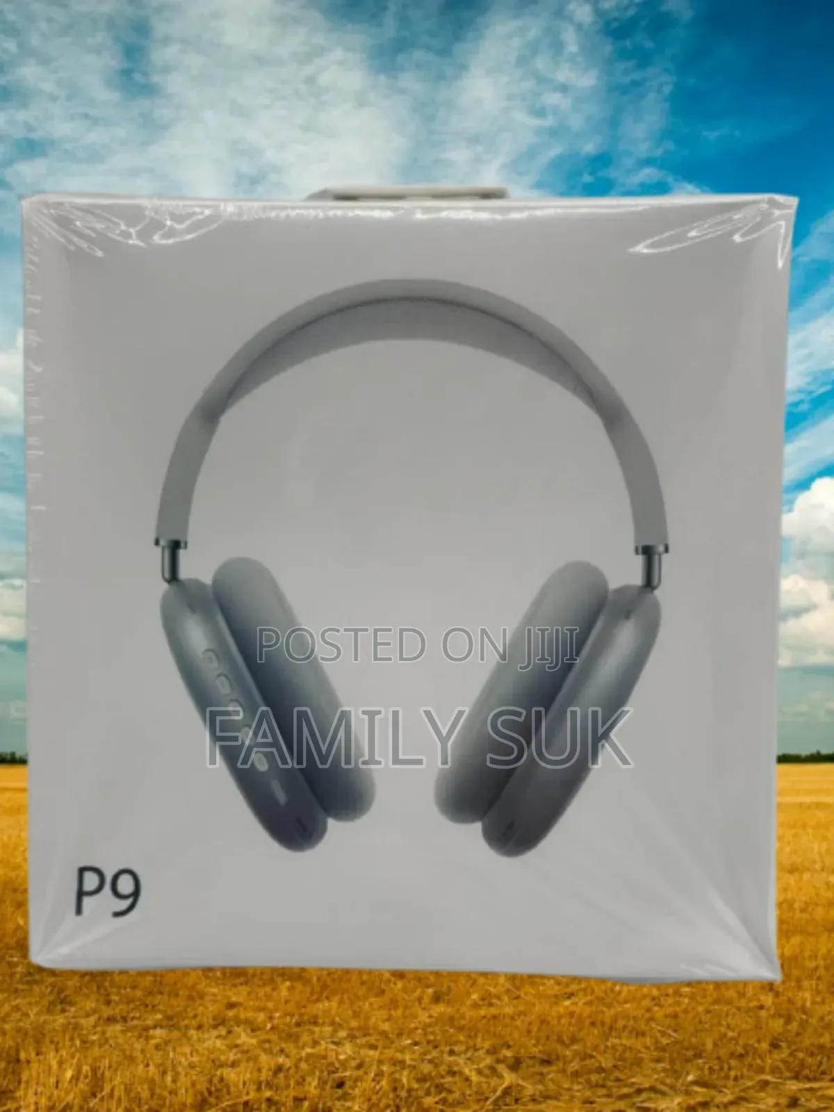 Entertain With P9: Your World in High Fidelity