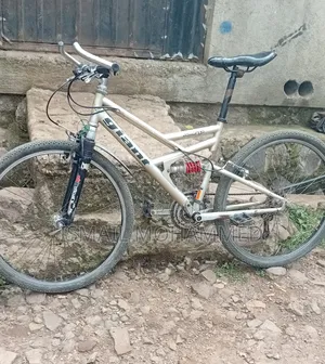 Photo - Giant Cycle