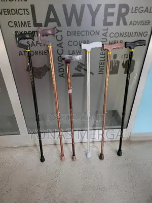 Photo - Walking Stick//Cane瞪襉walk-up Down Challeng Hills Confidence