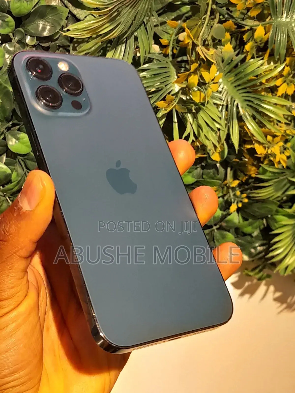 Apple iPhone 12 Pro Max 256 GB Green