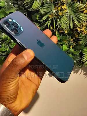 Apple iPhone 12 Pro Max 256 GB Green