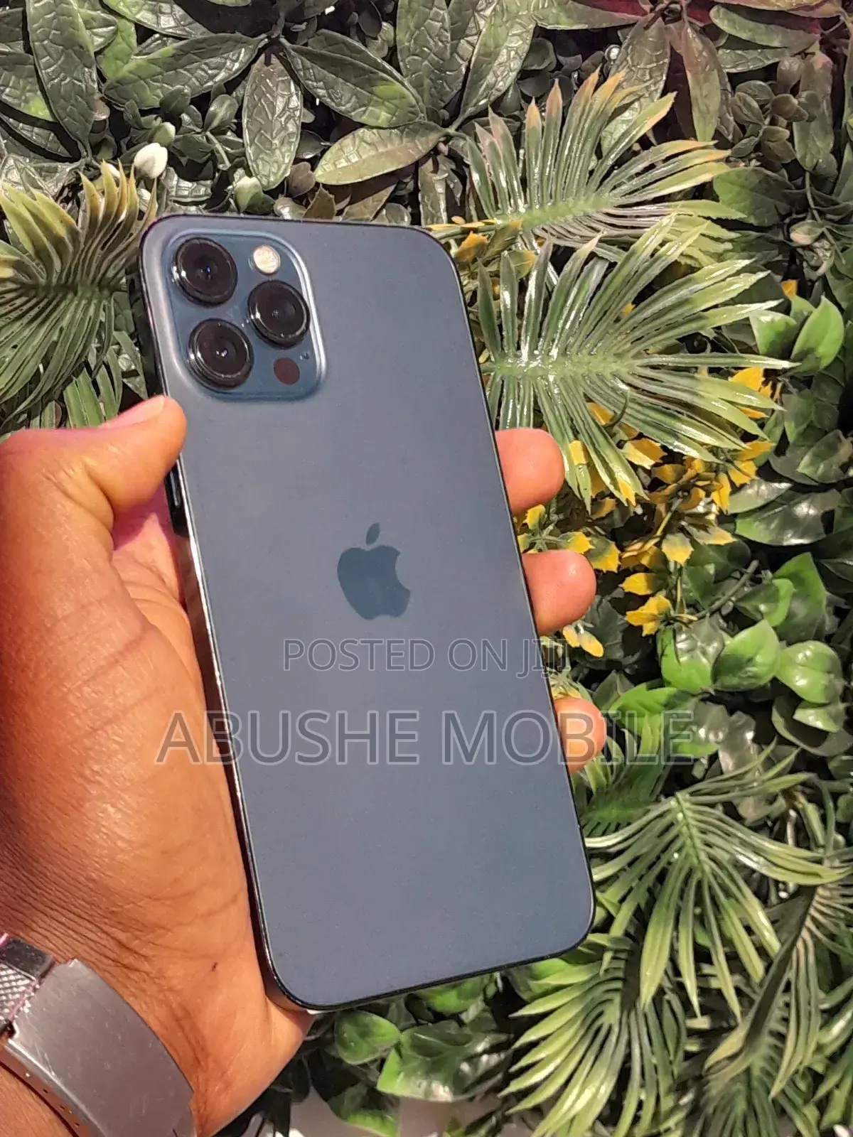 Apple iPhone 12 Pro Max 256 GB Green