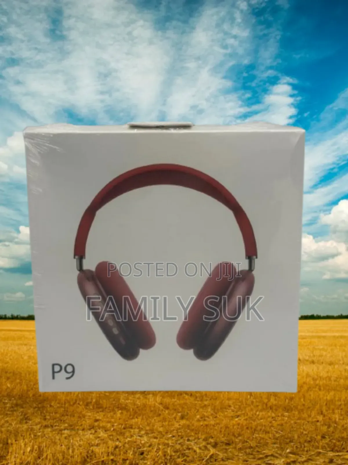 Entertain With P9: Get Ready to Be Amazed