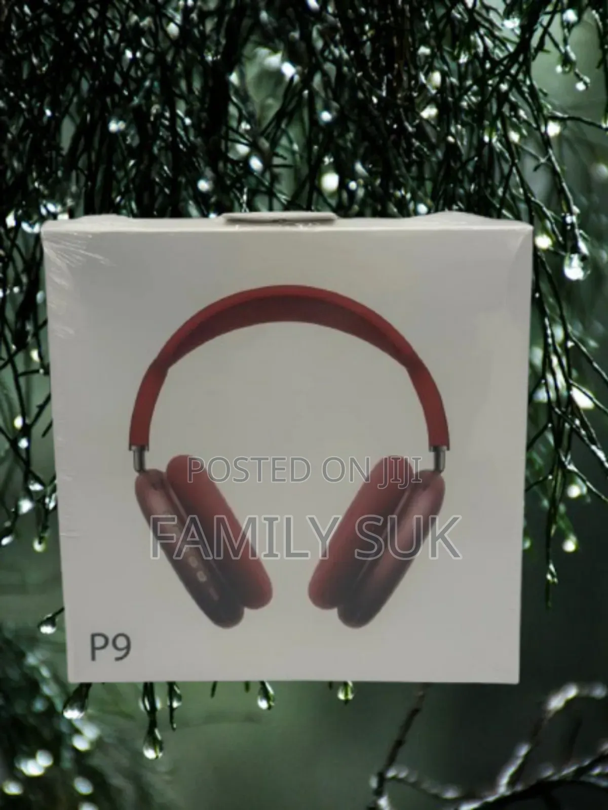 Entertain With P9: The Sound That Sets You Free