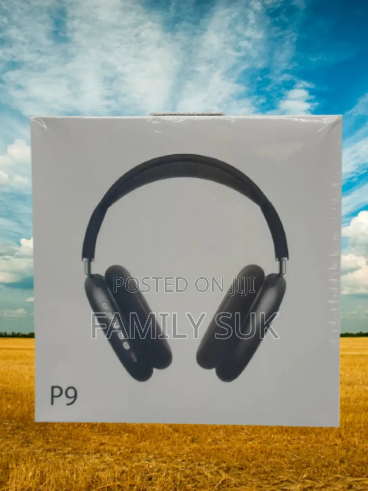 Entertain With P9: Engineered for Excellence