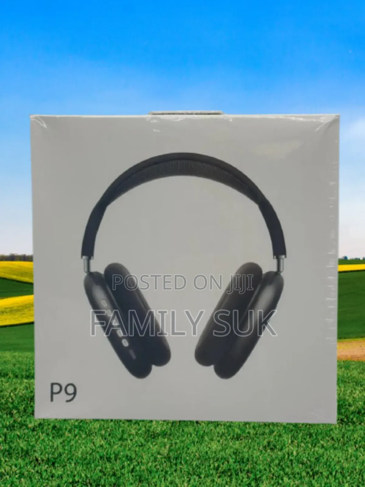 Entertain With P9: Discover New Depths of Sound