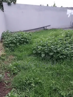 Furnished 5bdrm House in Kidanemihiret, Yeka for sale