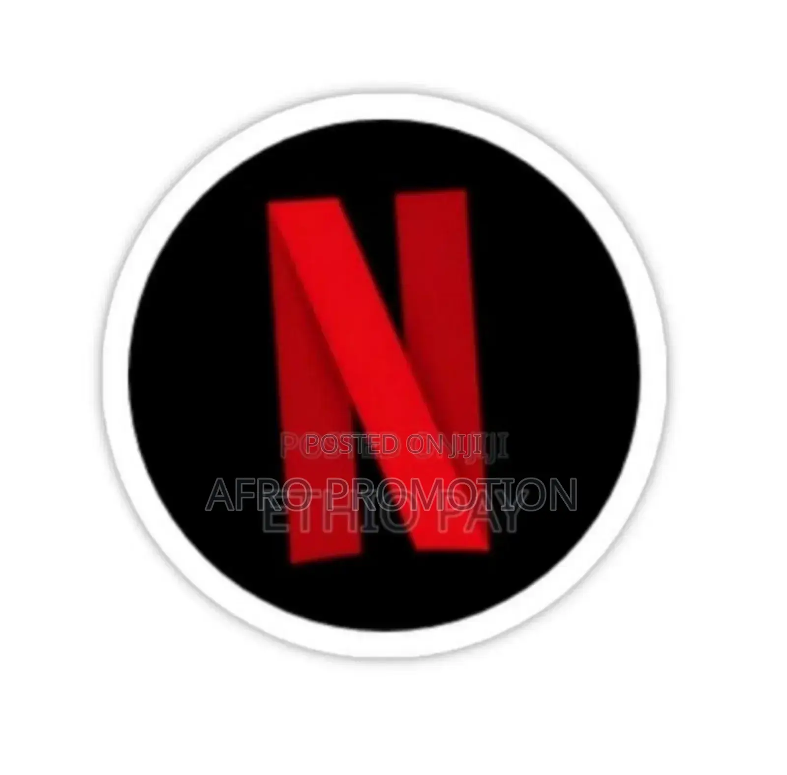 Netflix Subscriptions