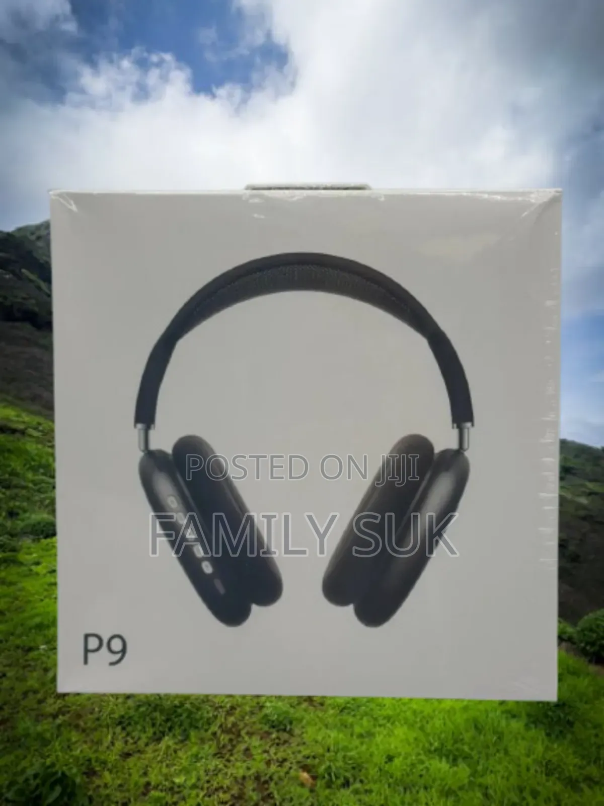 Entertain With P9: The Power of Sound in Your Hands