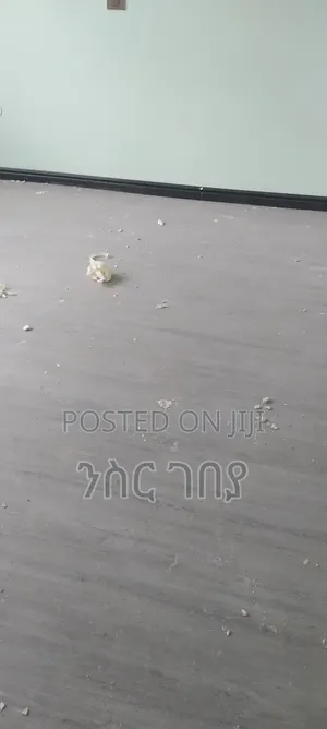 Furnished 3bdrm Condo in Ayat 49, 40/60, Yeka for rent