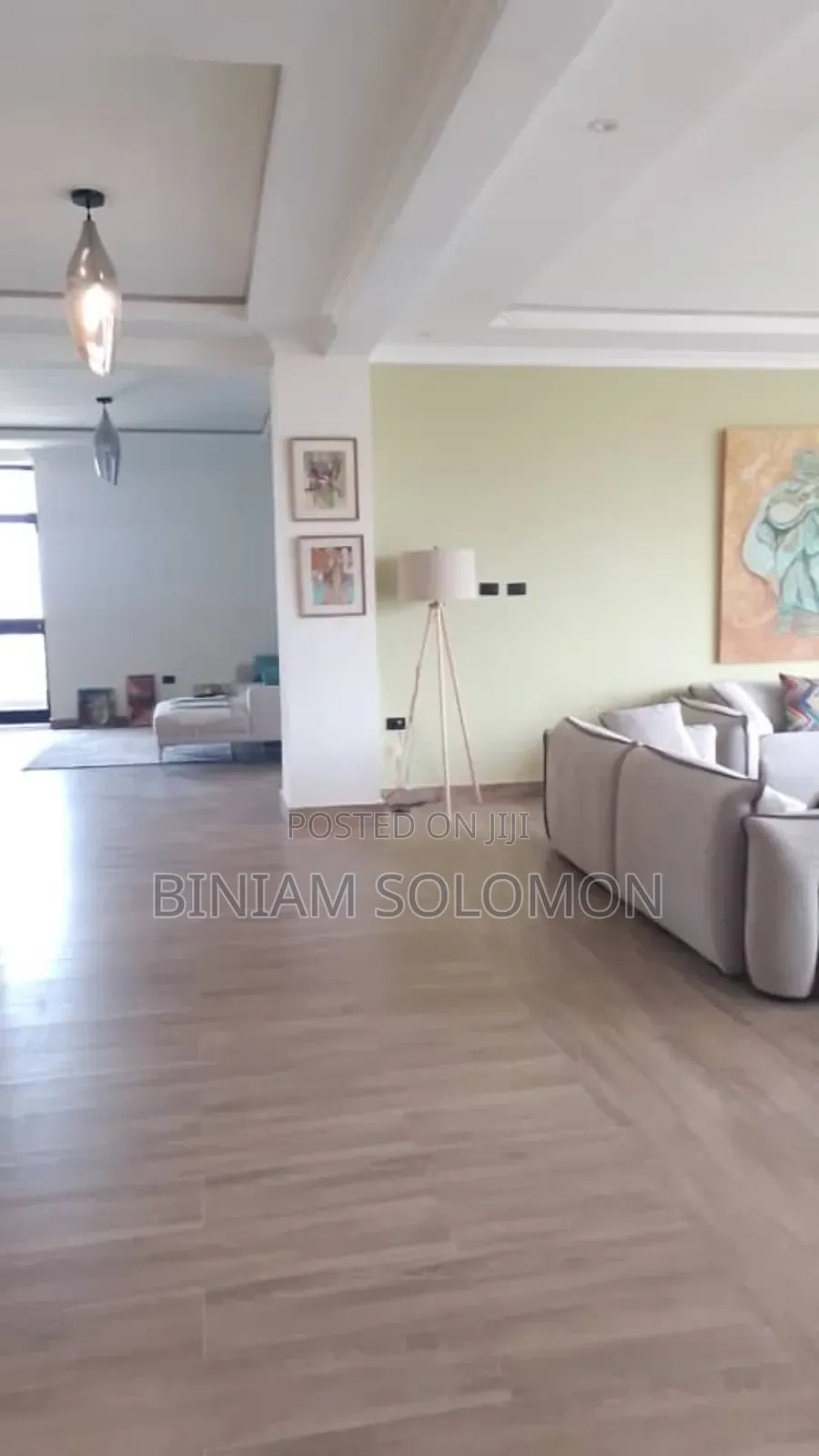 Furnished 3bdrm Apartment in Bole for rent