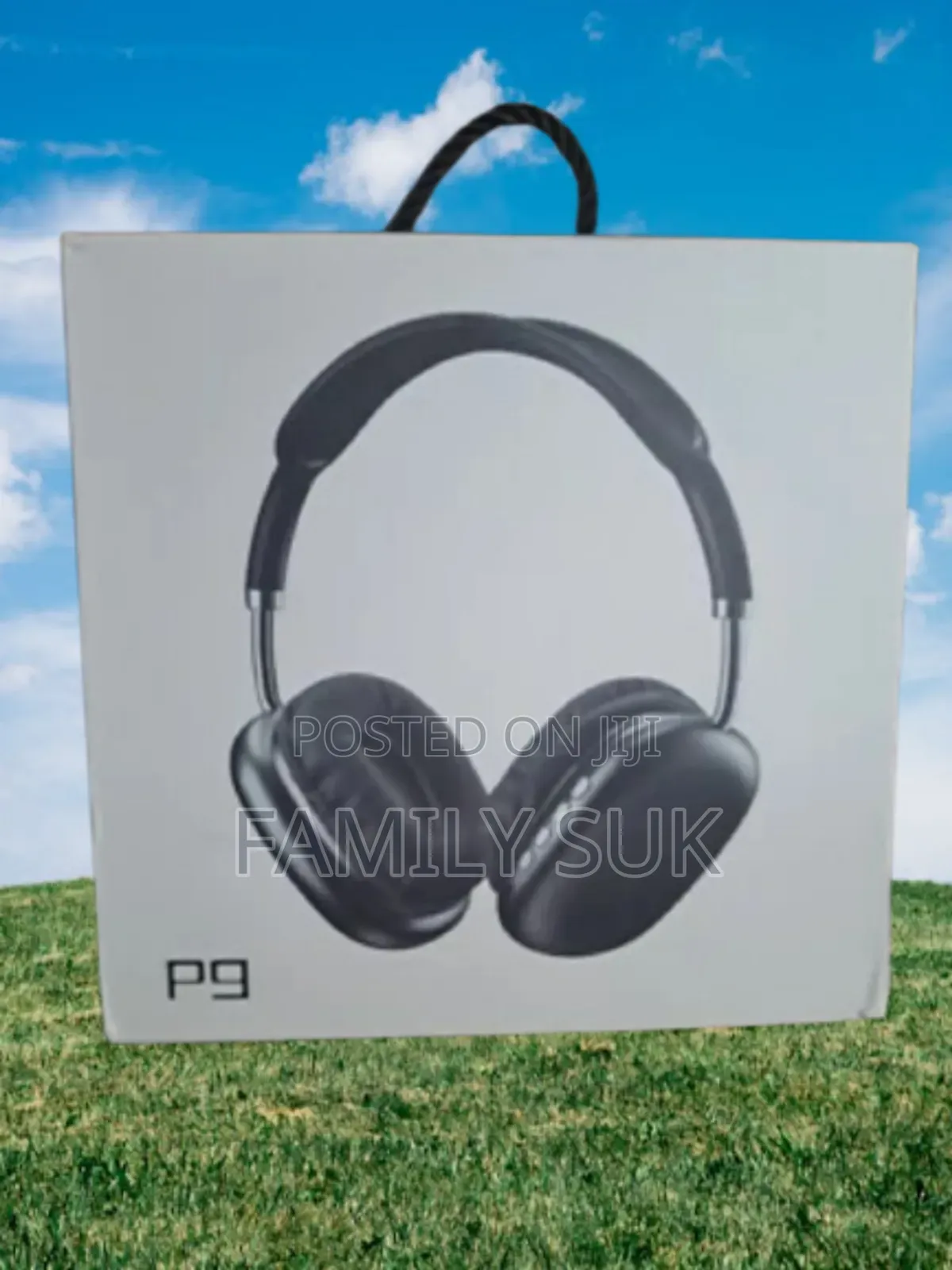 Entertain With P9: Ignite Your Senses With Incredible Sound