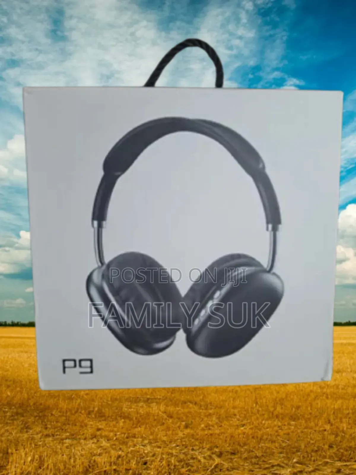 Entertain With P9: The Perfect Blend of Power and Precision