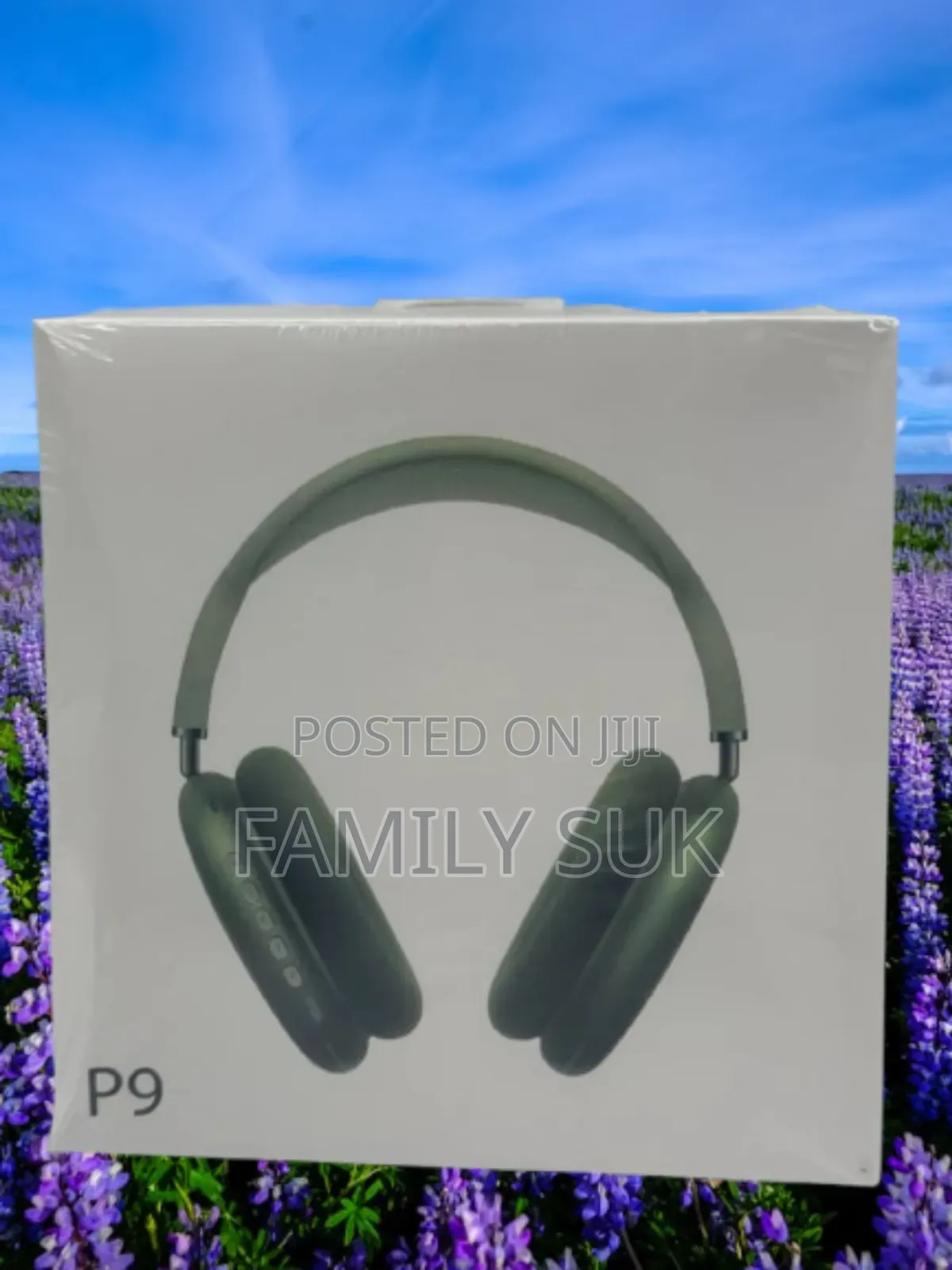 Entertain With P9: Experience Music Like Never Before