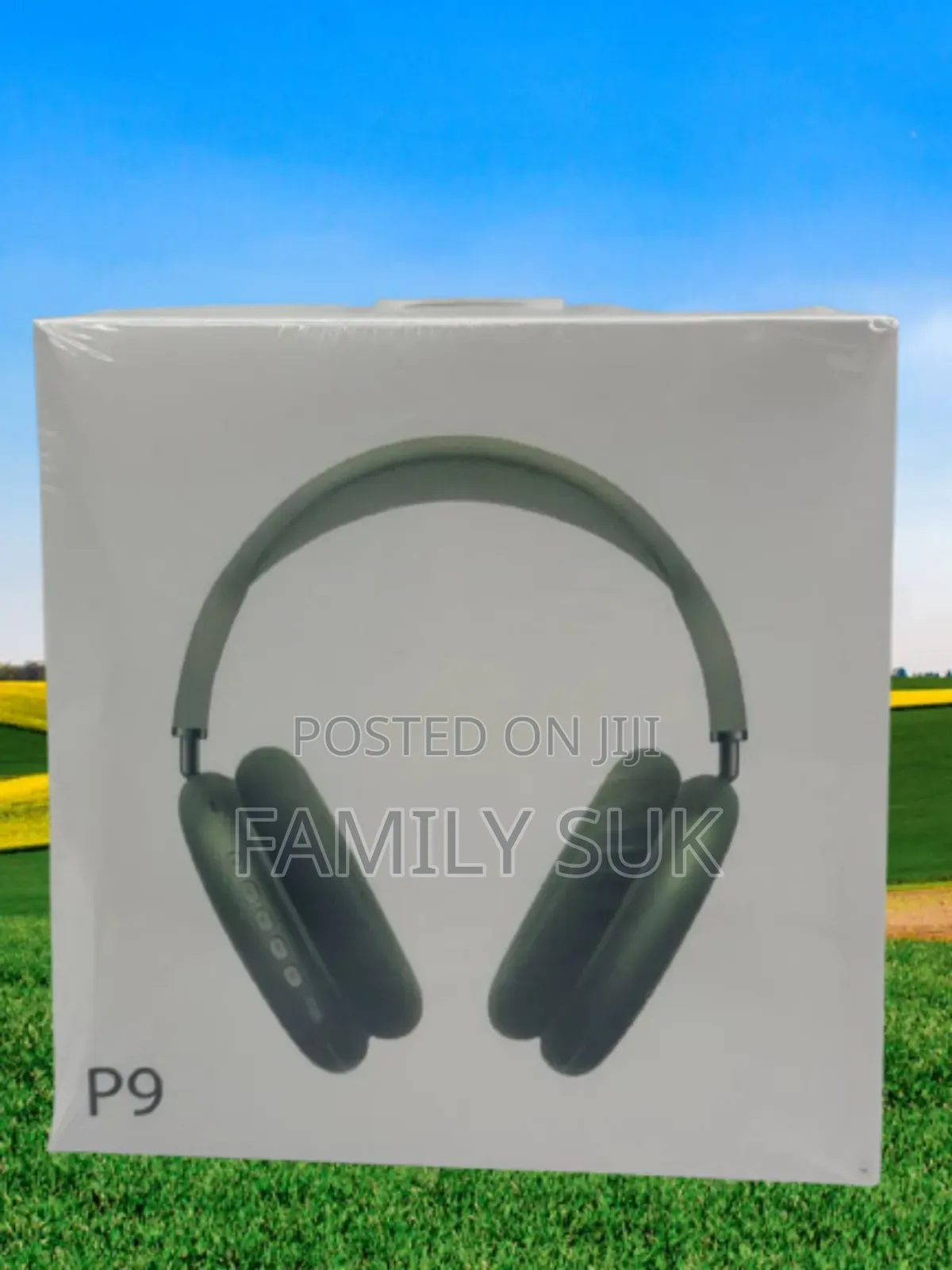 Entertain With P9: Unrivaled Sound, Unforgettable Moments