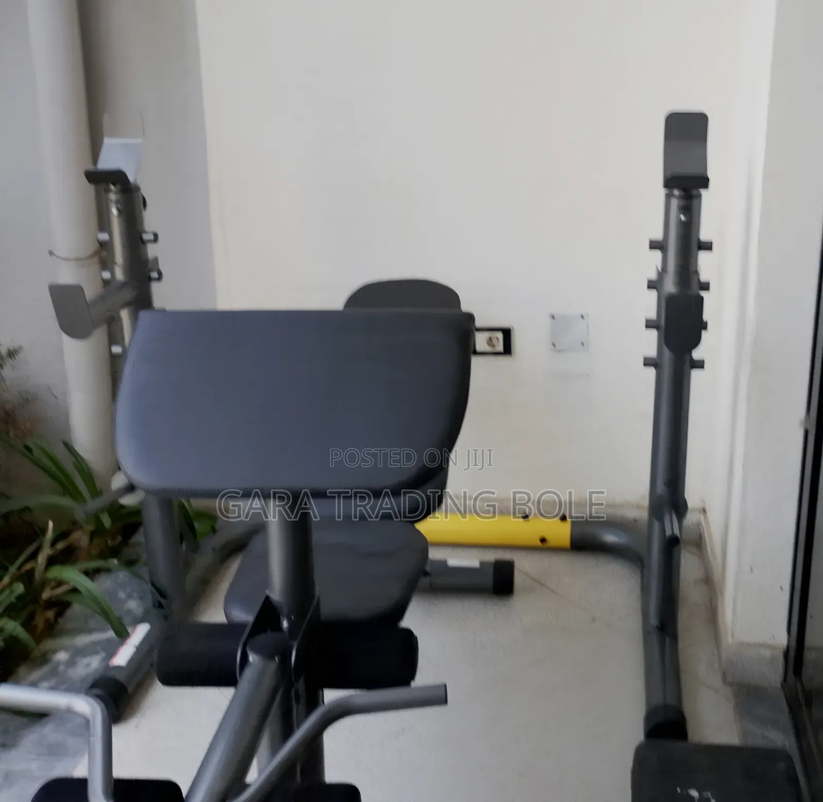 ሁሉ ነገር ያለው Bench