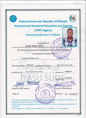 Photo - Accountant and Payroll Sheet Work