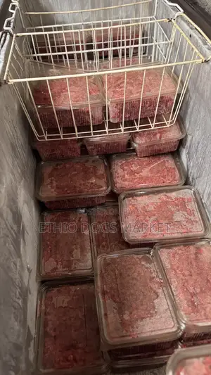 Fresh Dog and Cat Food