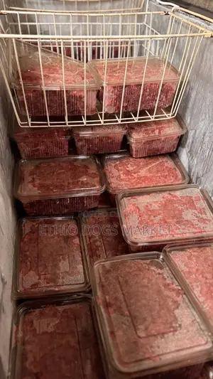 Fresh Dog and Cat Food