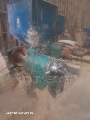 Photo - Ruz Ina Aja Mefelfeya Mashin