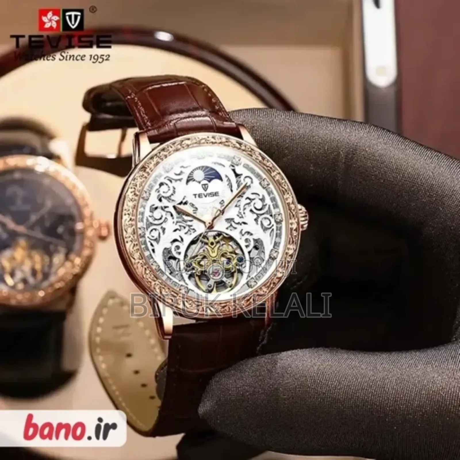 Tevise Extra Ordinary Mechanical Watch