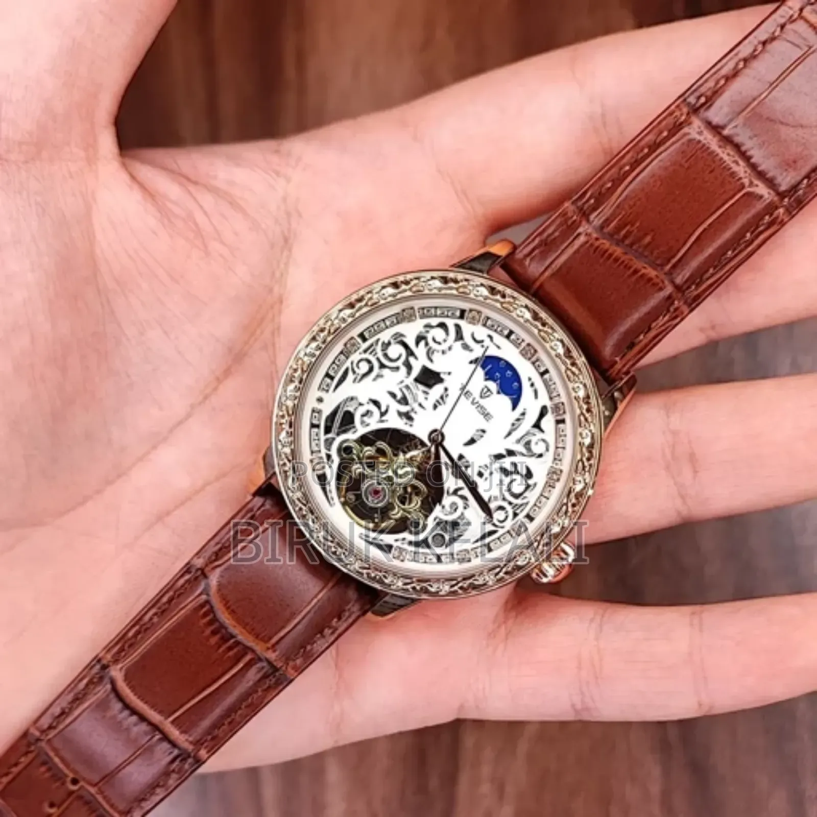 Tevise Extra Ordinary Mechanical Watch