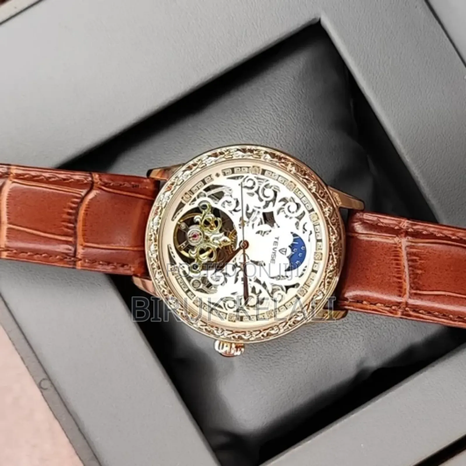 Tevise Extra Ordinary Mechanical Watch