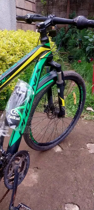 Orgional Phoneix Bike for Sale