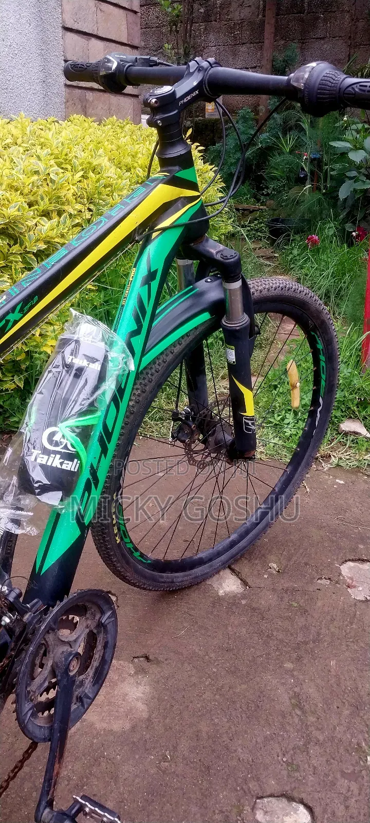 Orgional Phoneix Bike for Sale