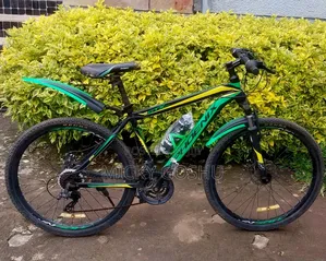 Orgional Phoneix Bike for Sale