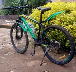 Orgional Phoneix Bike for Sale