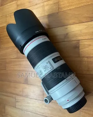 Photo - Zebra 70-200 Mark Iii