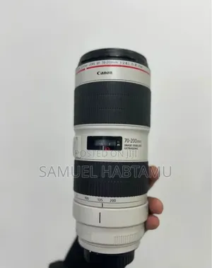 Zebra 70-200 Mark Iii