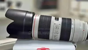 Zebra 70-200 Mark Iii