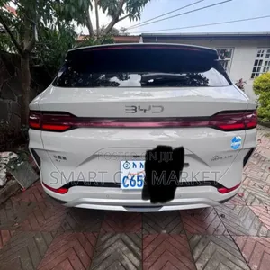 Photo - BYD Song Plus 2025 Gray