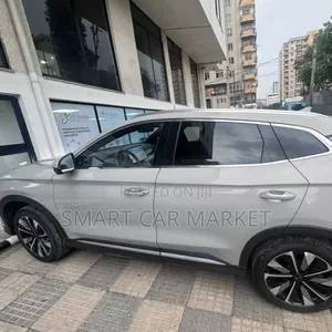 BYD Song Plus 2025 Gray