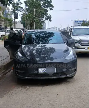 Photo - Tesla Model Y 2023 Black