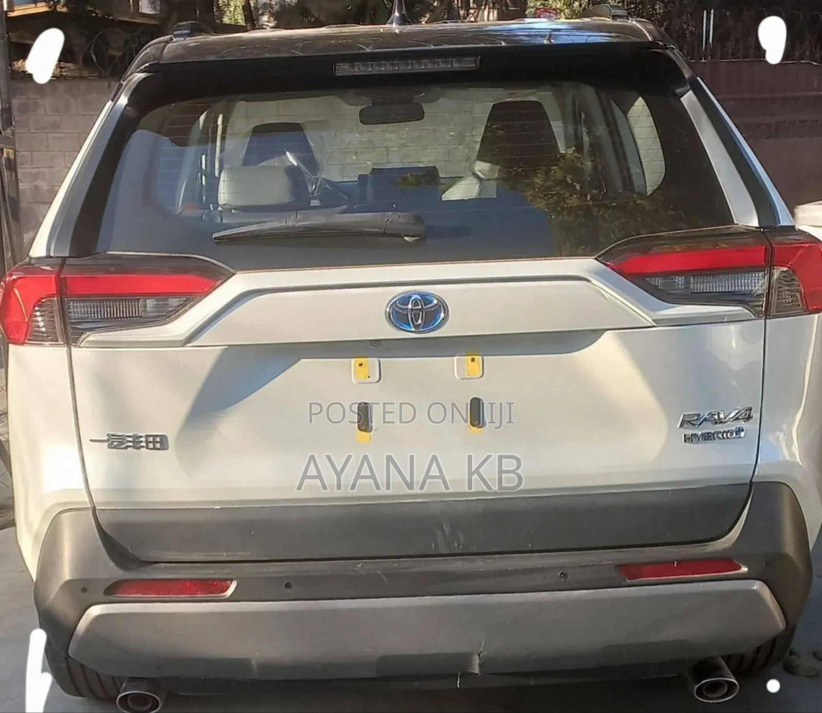 New Toyota RAV4 Hybrid 2024 White