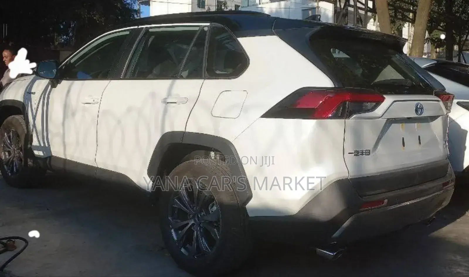 New Toyota RAV4 Hybrid 2024 White