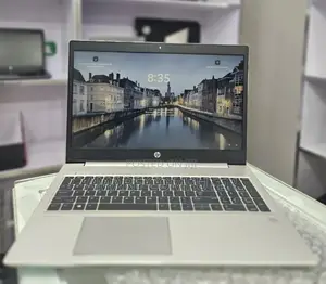 New Laptop HP ProBook 455 16GB AMD Ryzen 5 SSD 512GB
