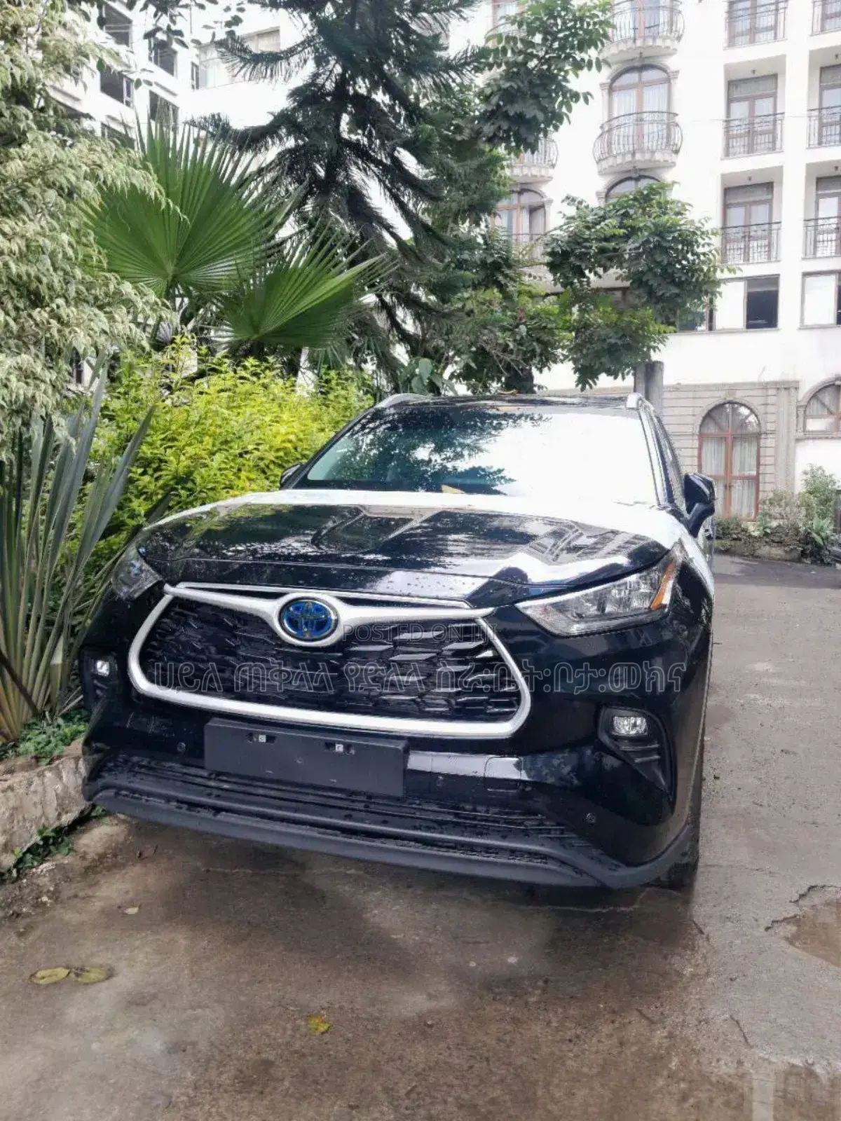 New Toyota Highlander Hybrid 2024 Black