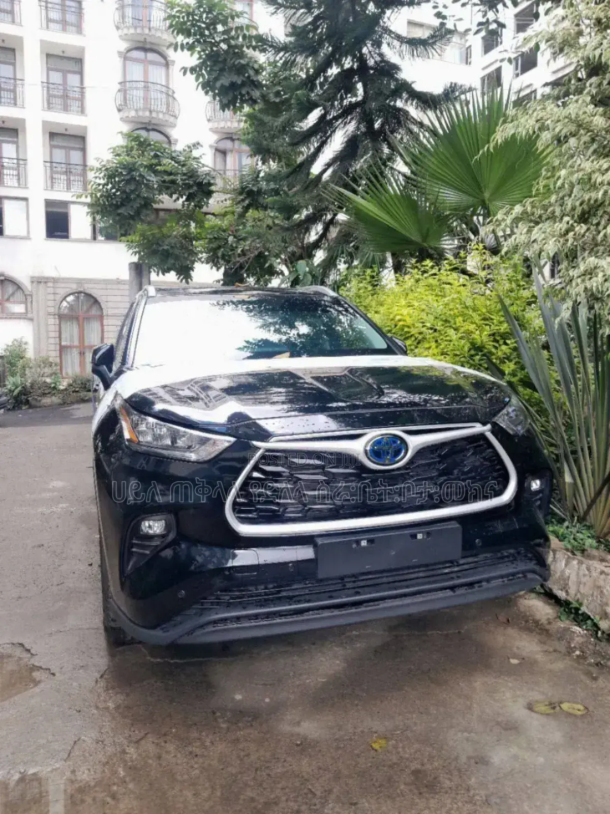 New Toyota Highlander Hybrid 2024 Black